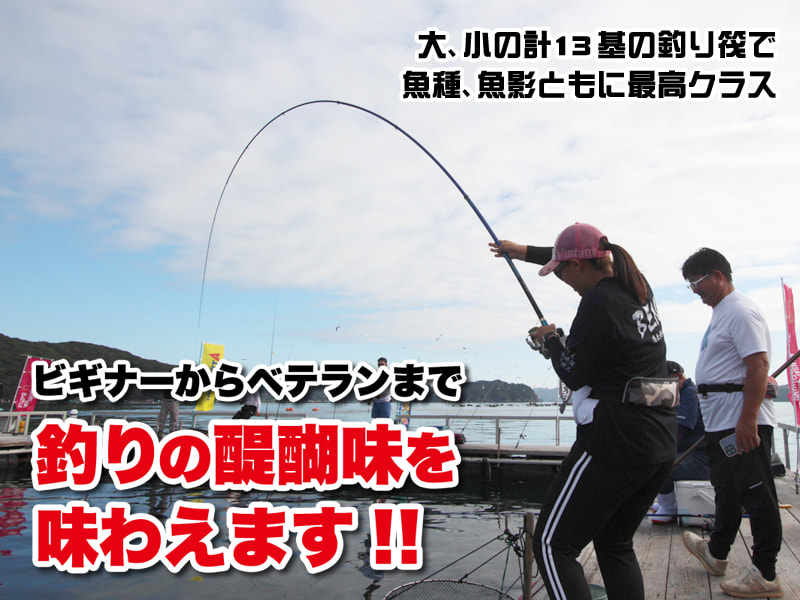 海上釣り堀辨屋 - 三重 南伊勢・礫浦 釣り堀