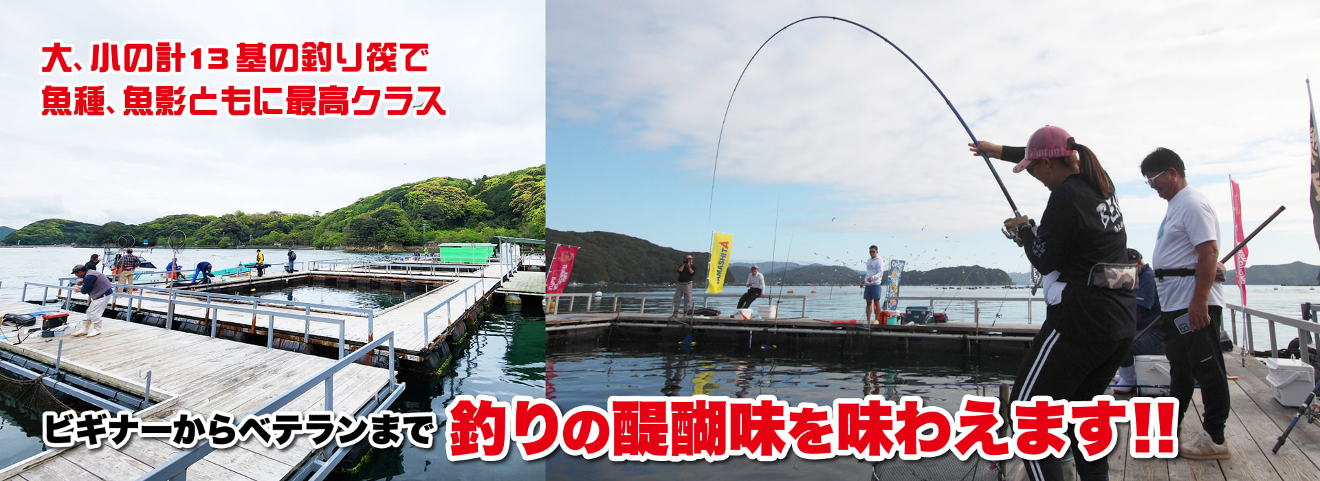 海上釣り堀辨屋 - 三重 南伊勢・礫浦 釣り堀