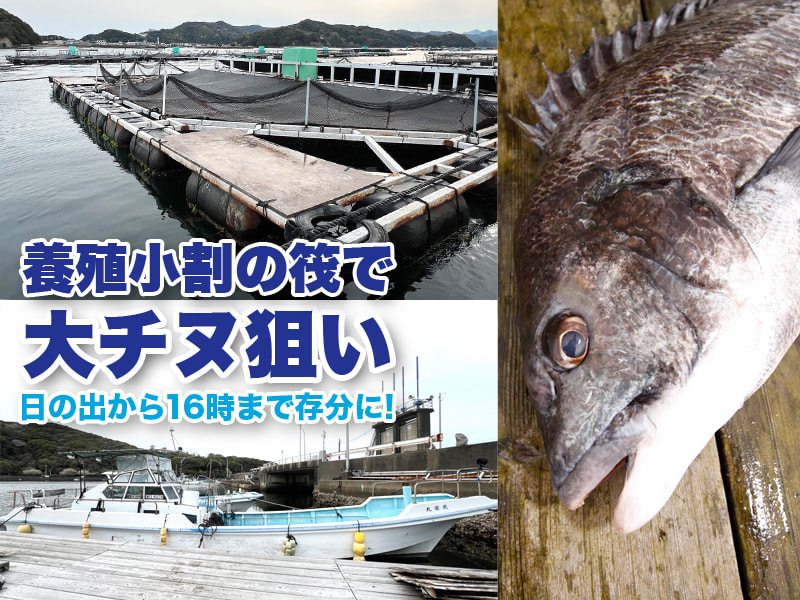 ☆光栄丸☆ 光栄丸 - 三重 南伊勢・礫浦 釣り船 筏