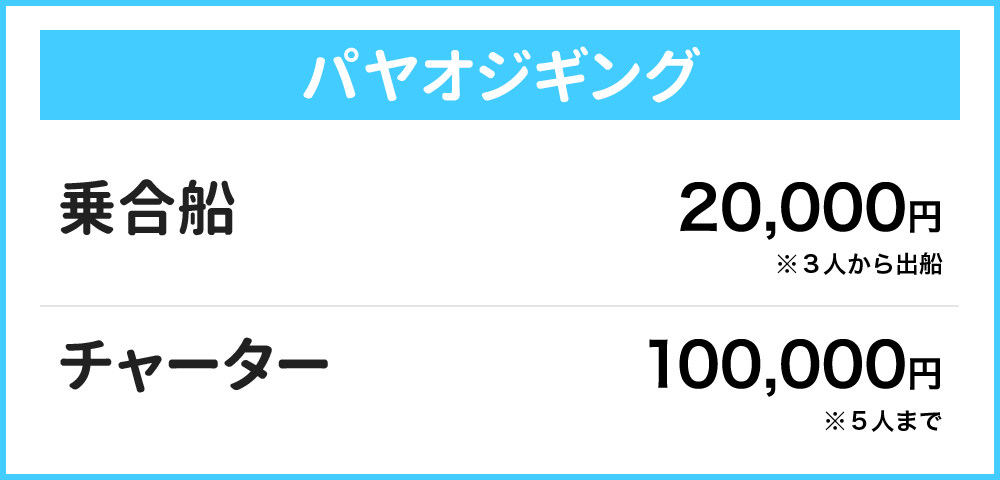 パヤオジギング 乗合船：１人20000円※３人から出船　仕立船：100000円 ※５人まで