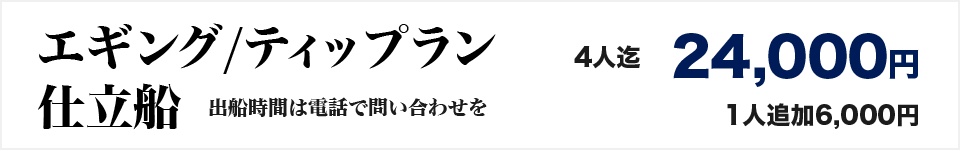 エギング／ティップラン仕立船：出船時間は問い合わせを　料金：4人迄24000円　１人追加6000円