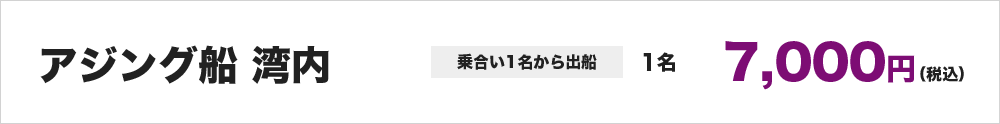 アジング船湾内※乗合い1名から出船　1名7,000円