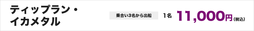 ティップラン・イカメタル ※乗合い3名から出船 1名11,000円