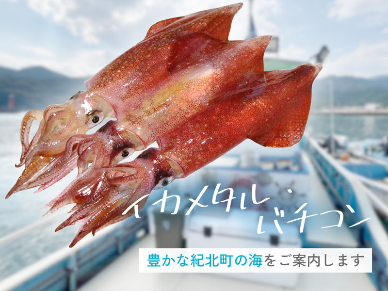 勇喜丸 - 三重 三浦 釣り船